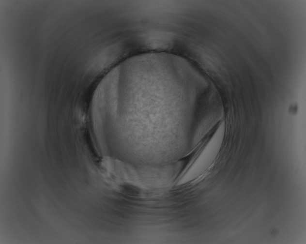 X0000092270176200710051347
