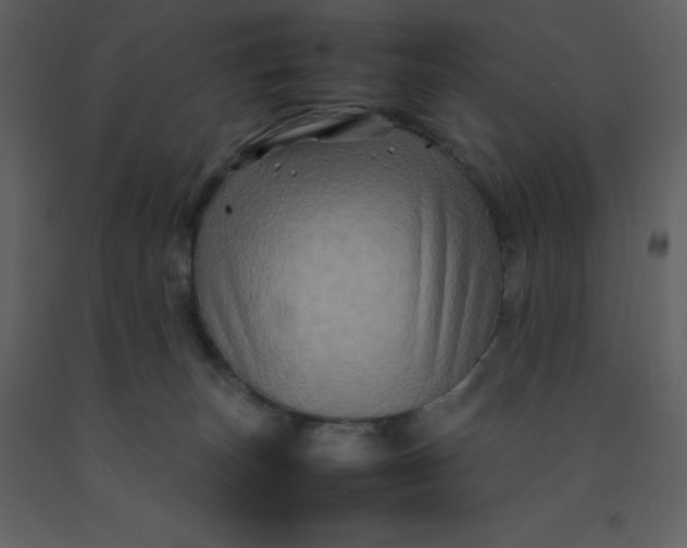 X0000092270179200710051347