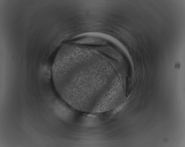 X0000092270180200710051347
