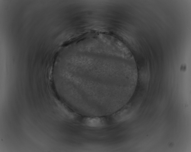X0000092270181200710051347