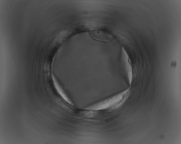 X0000092270182200710051347