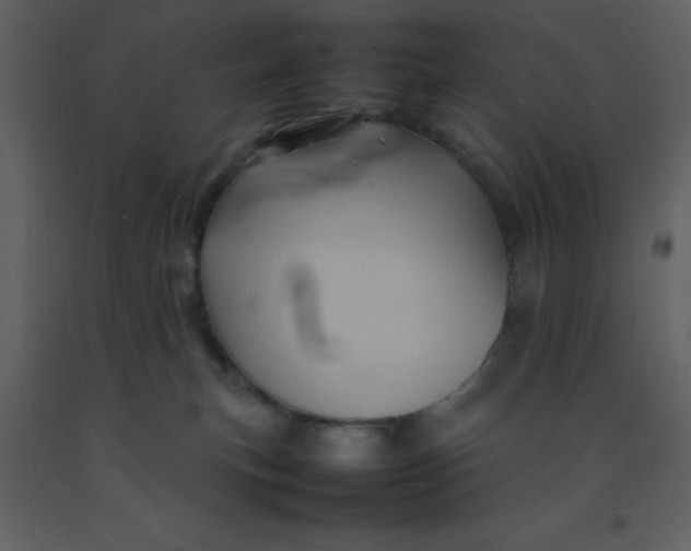 X0000092270183200710051347