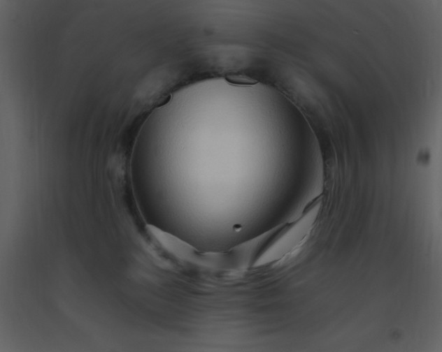 X0000092270184200710051347