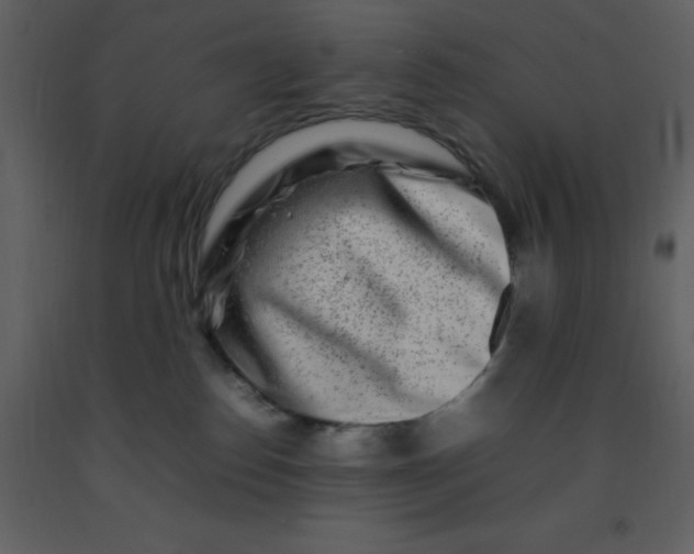 X0000092270186200710051347