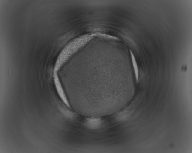 X0000092270189200710051347