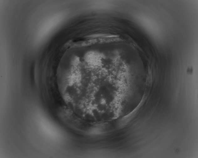 X0000092270191200710051347