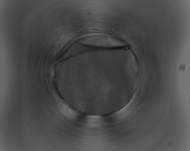 X0000092270192200710051347