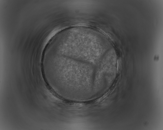 X0000092270195200710051346