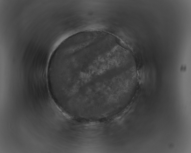 X0000092270196200710051346