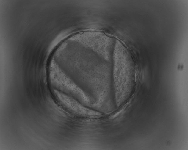 X0000092270198200710051346