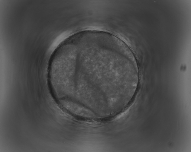 X0000092270199200710051346