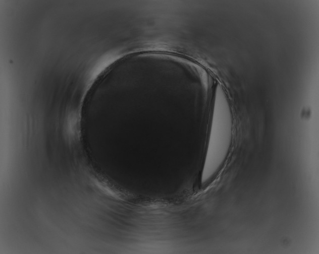 X0000092270200200710051346