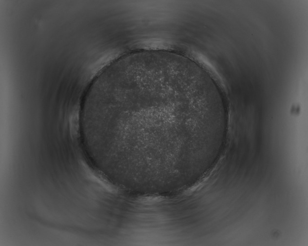X0000092270202200710051346