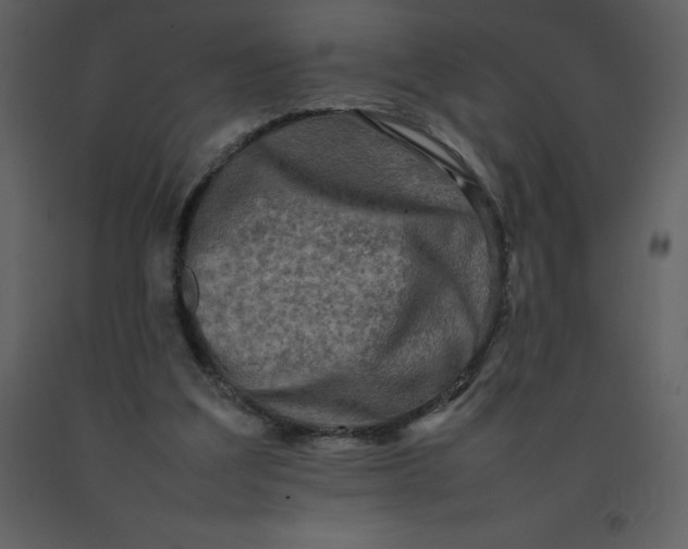X0000092270203200710051346