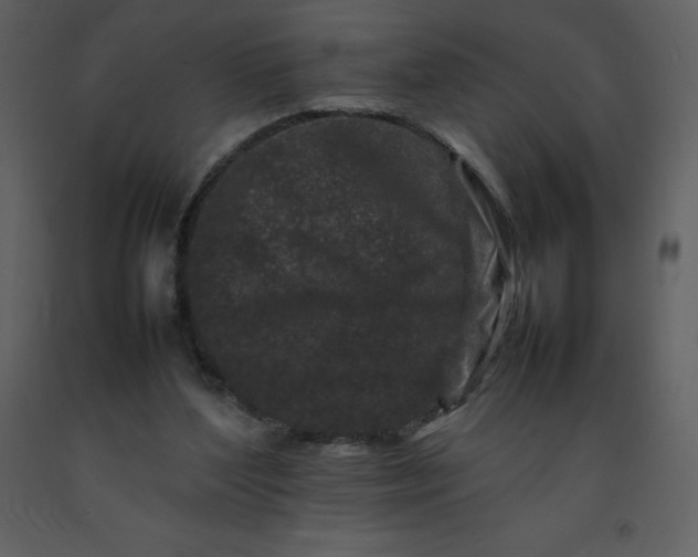 X0000092270204200710051346
