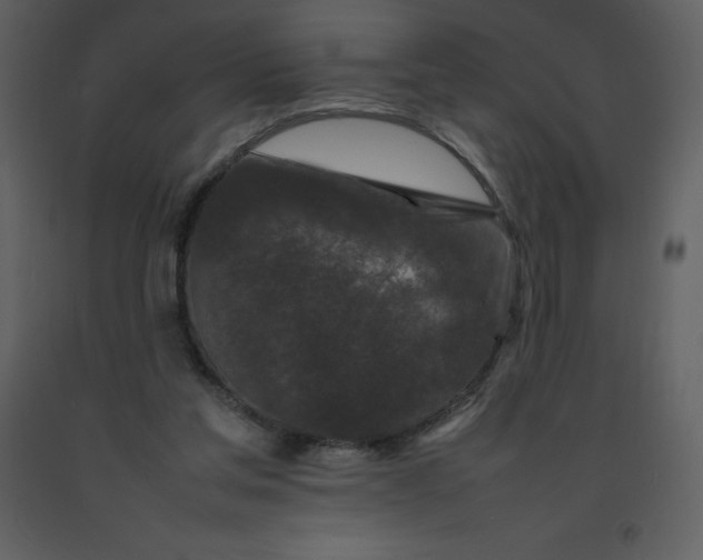X0000092270205200710051346