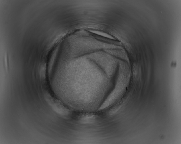 X0000092270206200710051346