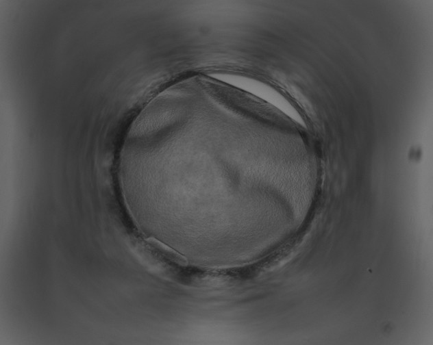 X0000092270209200710051346