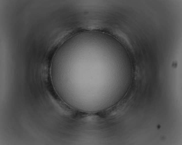 X0000092270210200710051346