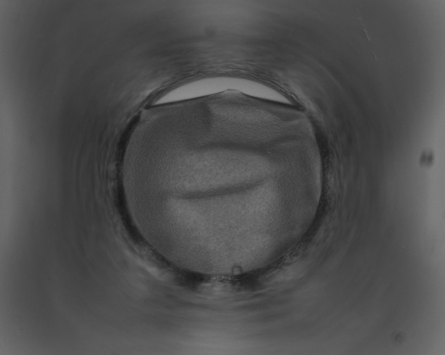 X0000092270211200710051346