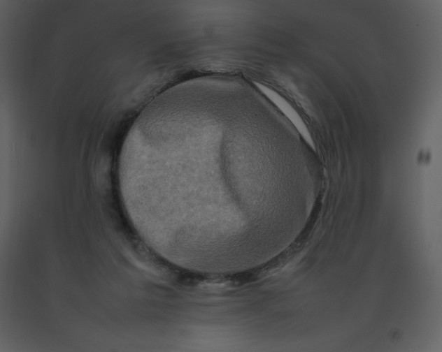 X0000092270213200710051346
