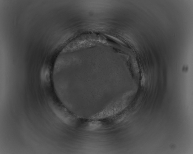 X0000092270214200710051346