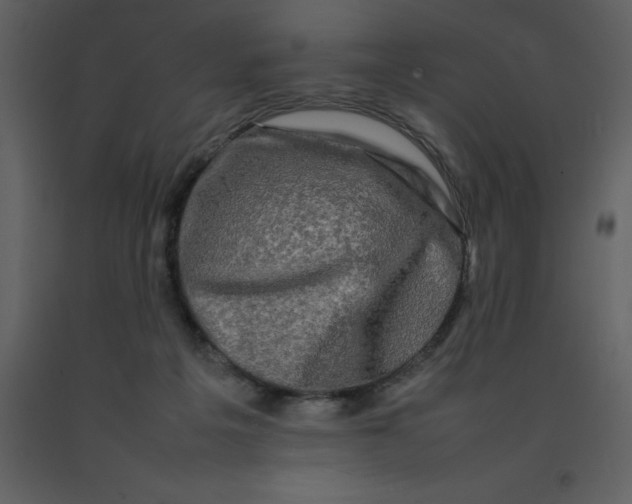 X0000092270217200710051346