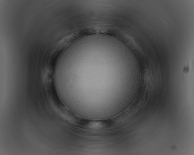 X0000092270218200710051346