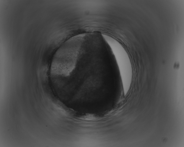 X0000092270219200710051346