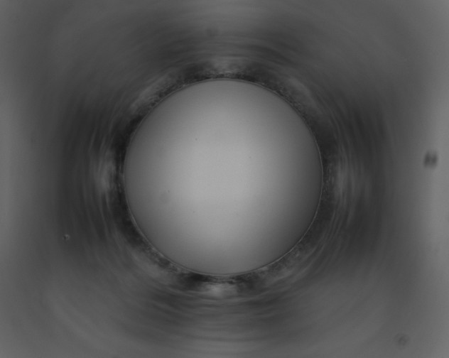 X0000092270220200710051346