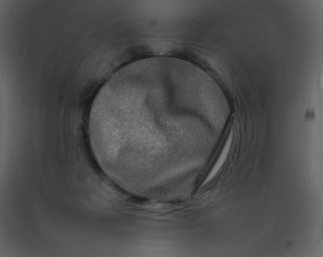 X0000092270221200710051346