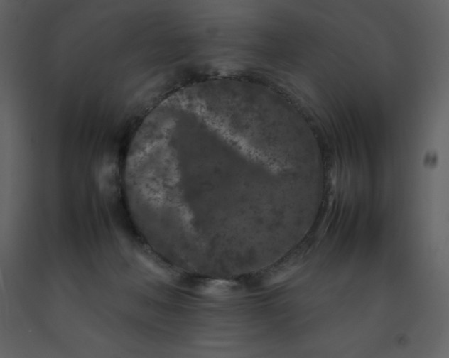 X0000092270222200710051346
