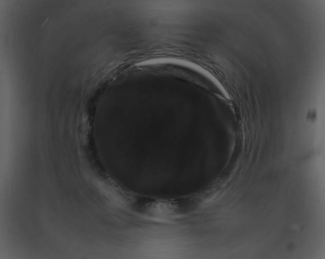 X0000092270223200710051346