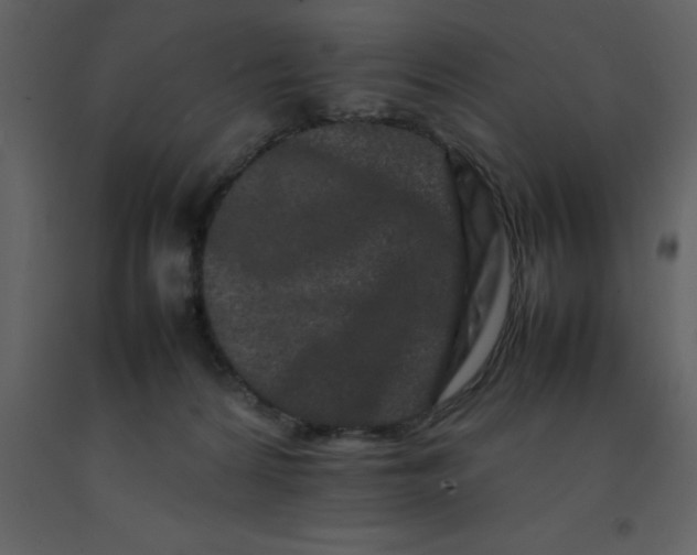 X0000092270224200710051346
