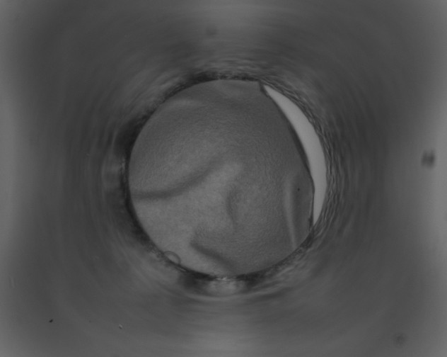X0000092270225200710051346