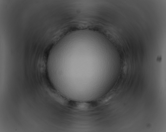 X0000092270226200710051346
