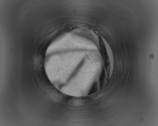 X0000092270228200710051346