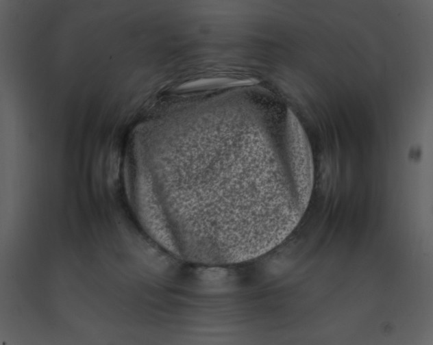 X0000092270230200710051346
