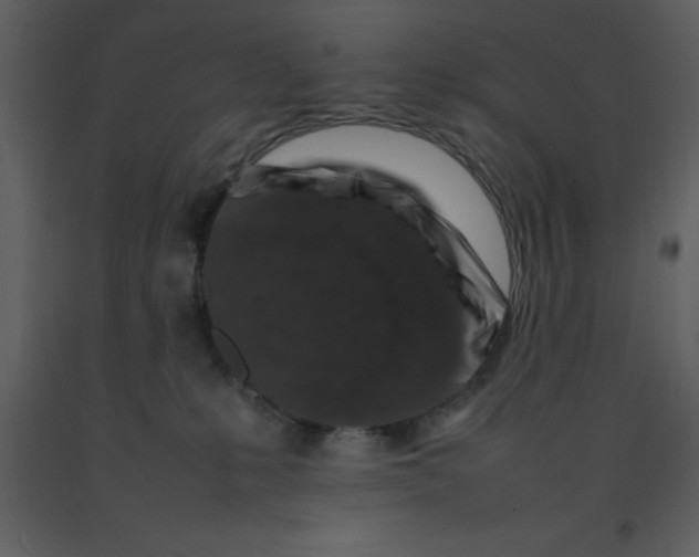 X0000092270231200710051346