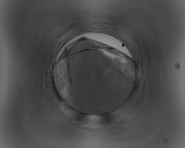 X0000092270233200710051346
