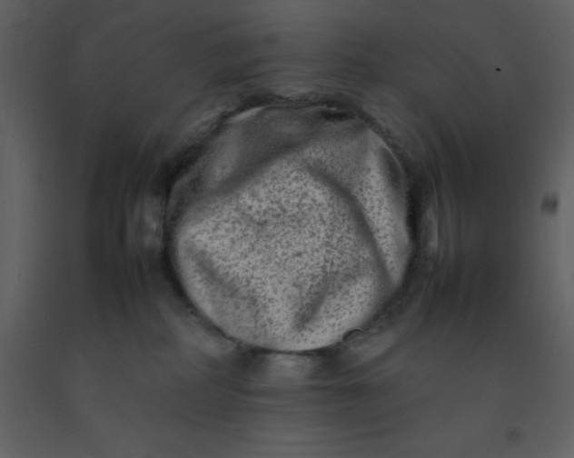 X0000092270234200710051346