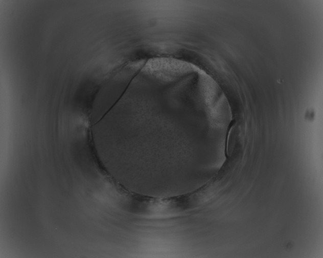X0000092270235200710051346