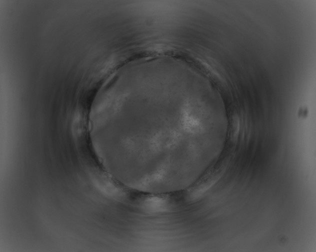 X0000092270236200710051346