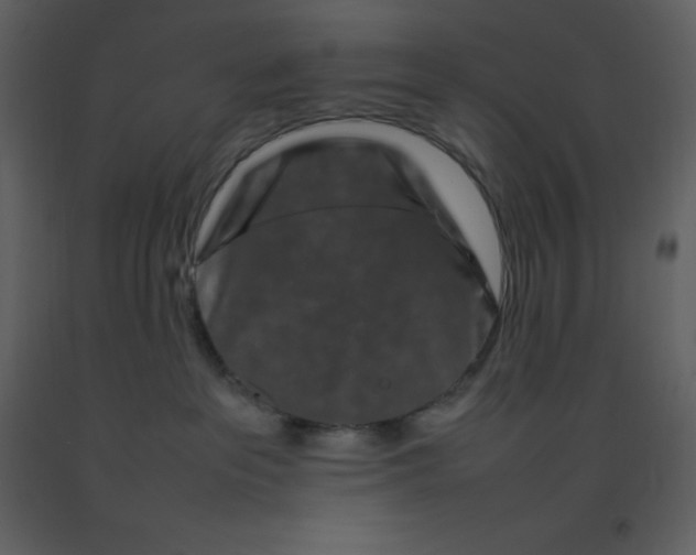 X0000092270237200710051346