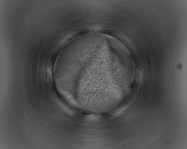 X0000092270238200710051346