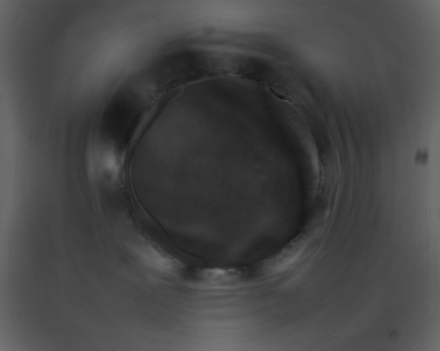 X0000092270239200710051346