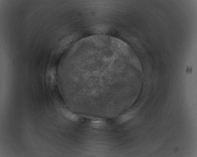 X0000092270240200710051346