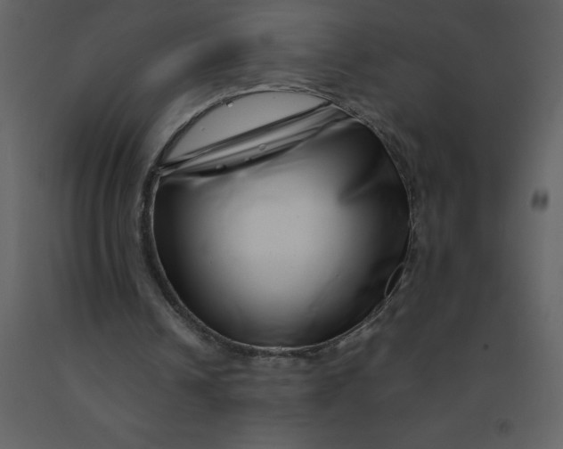 X0000092270242200710051345