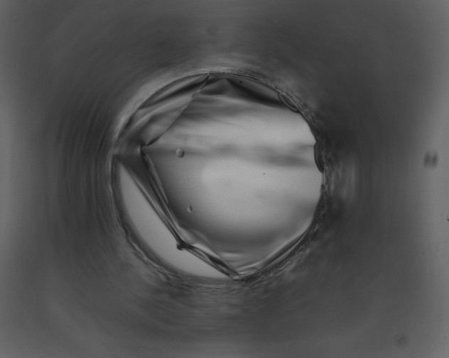 X0000092270244200710051345