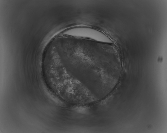 X0000092270247200710051345